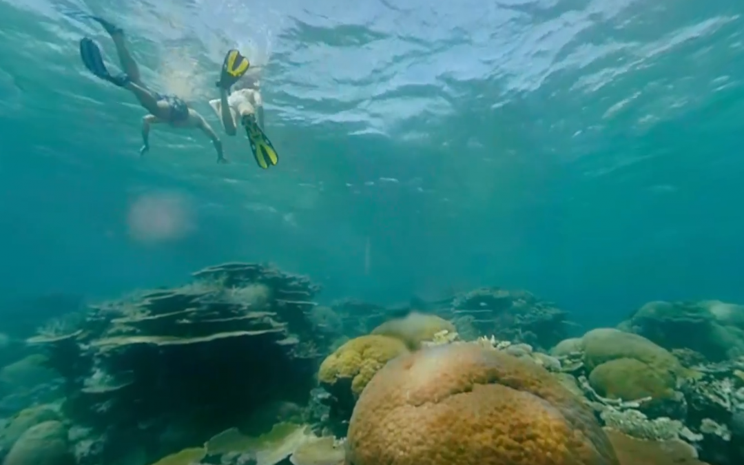 Vlasoff Cay, Great Barrier Reef, Queensland