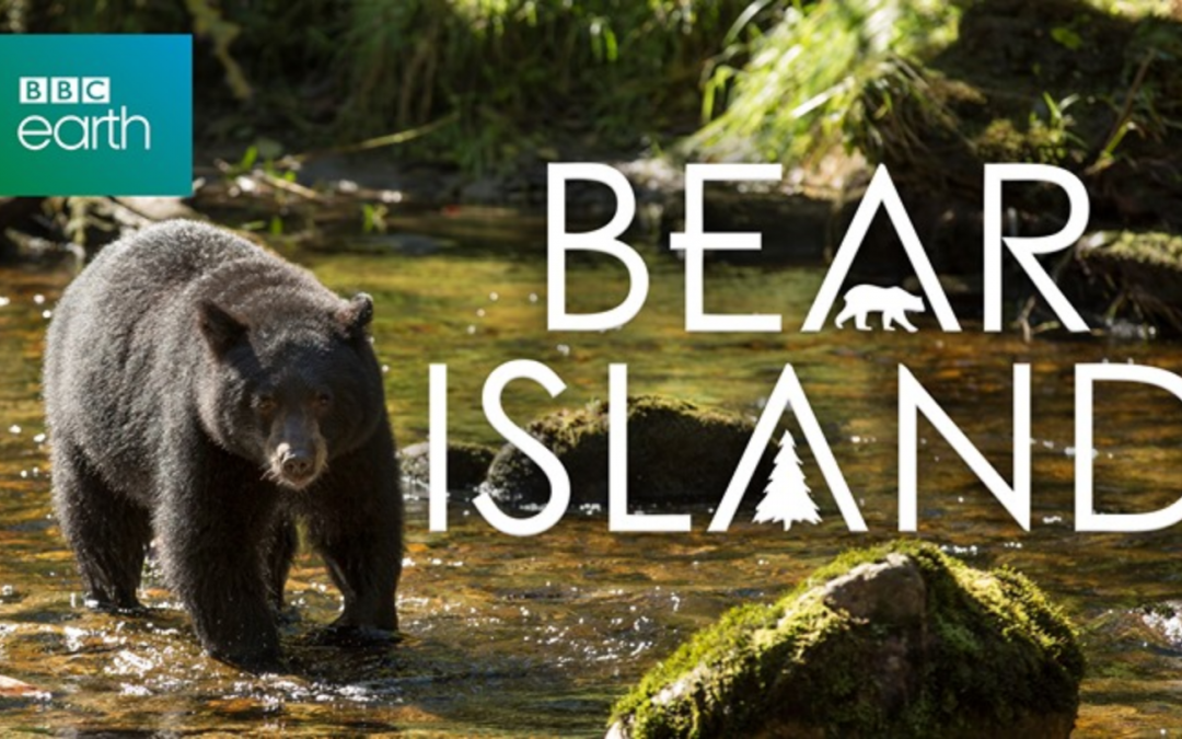 Bear Island