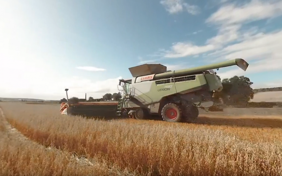 Harvest 360 – An Immersive Experience