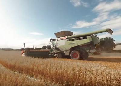 Harvest 360 – An Immersive Experience