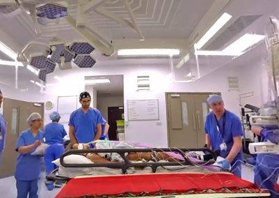 360 Degree Virtual Reality Brain Surgery