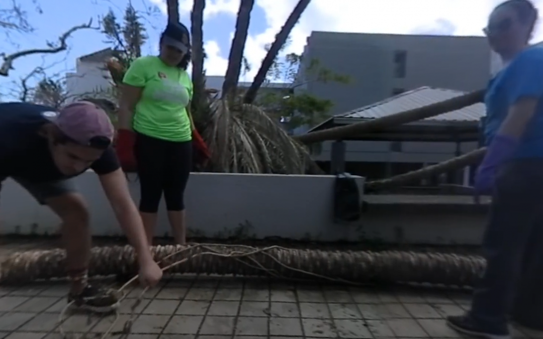 Students Clean Up the University of Puerto Rico