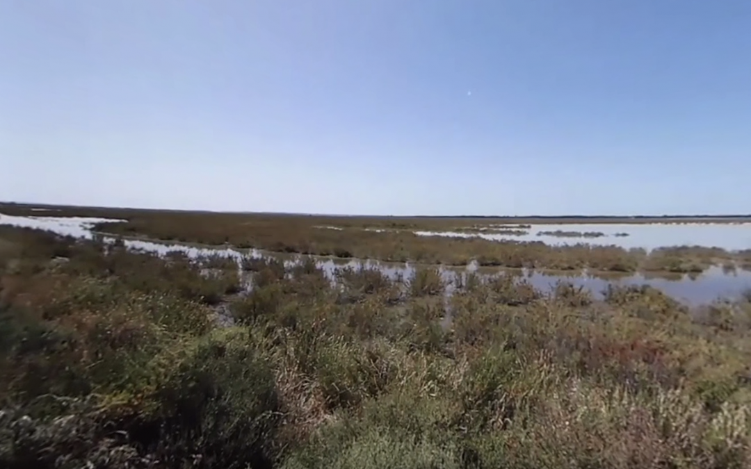 Paradise Lost: Doñana Wetlands Going Dry