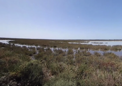 Paradise Lost: Doñana Wetlands Going Dry