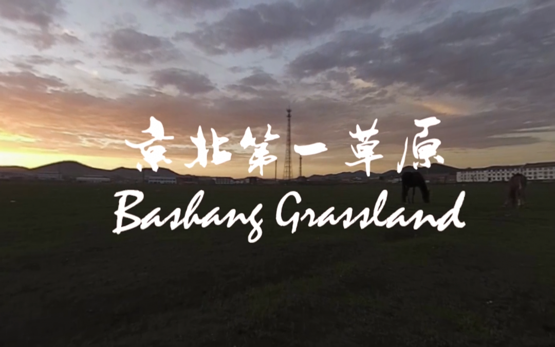 Bashang Grassland