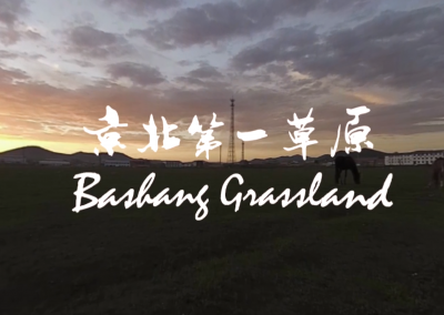 Bashang Grassland