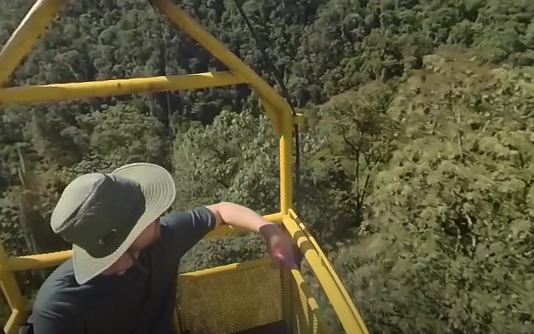 Ecuadorian Cloud Forest in 360