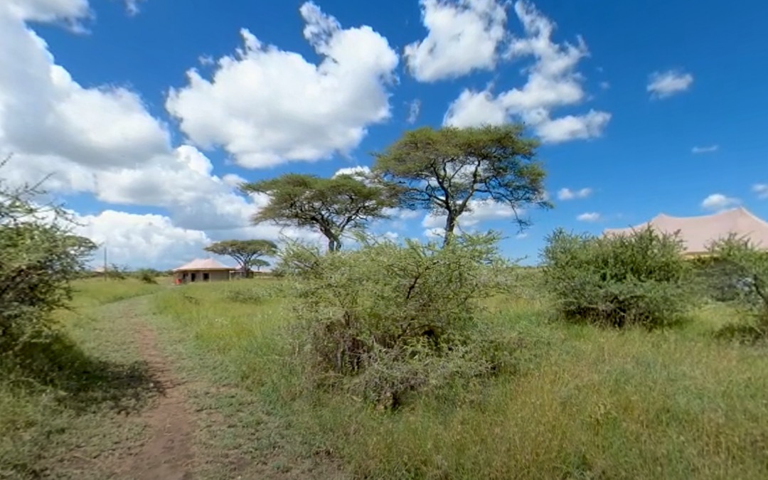 Tour Ehlane Plains Camp, Serengeti