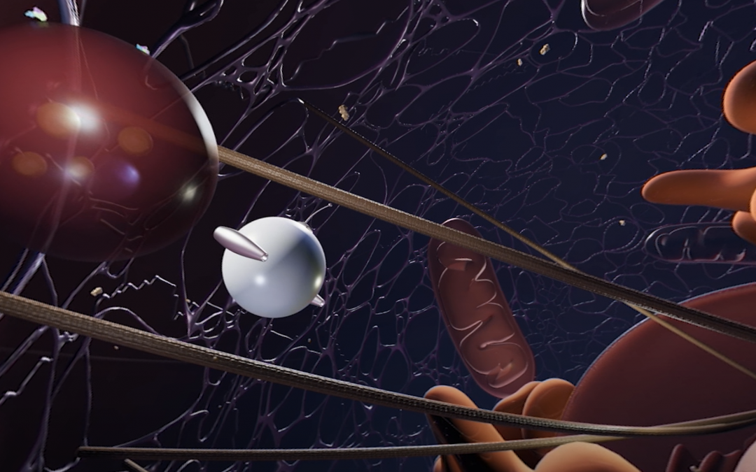 Extracellular Vesicles: The Cells’ Secret Messengers