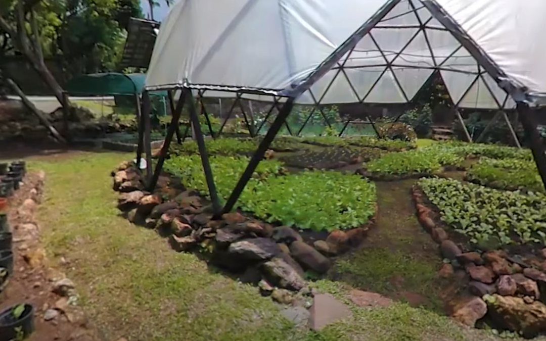 Ecological Village in Costa Rica